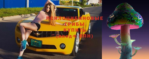 сатива Вязьма