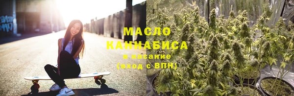 сатива Вязьма
